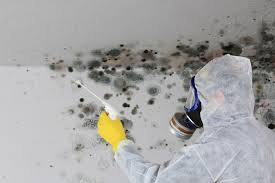 Best Mold Documentation for Insurance Claims  in Lake Secession, SC